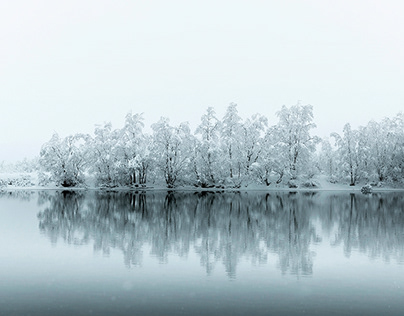 Тельцу никто не мил. В понедельник знак отвернется от других