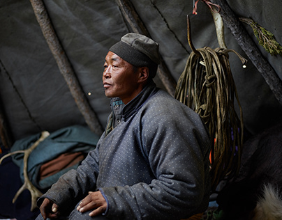 Адвокат Гаврилова сообщила о подготовке иска семьи баскетболиста Тиммы к Анне Седоковой