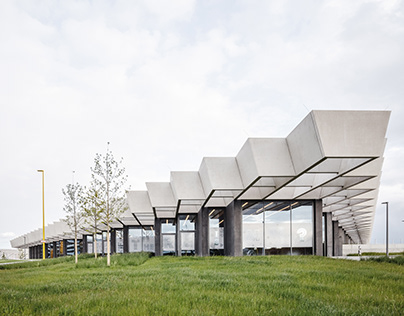 Челестини о ЦСКА: Мне не нравится слово кризис. Это мой первый год в России, я вижу, что очки тяжело даются всем. У нас большая проблема, но мы решим