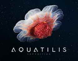 Замёрзший Starship на рассвете: появилось свежее фото после отмены запуска