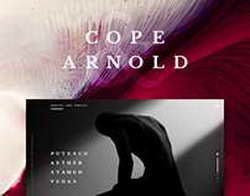 В Петербурге тестируют электрические мусоровозы